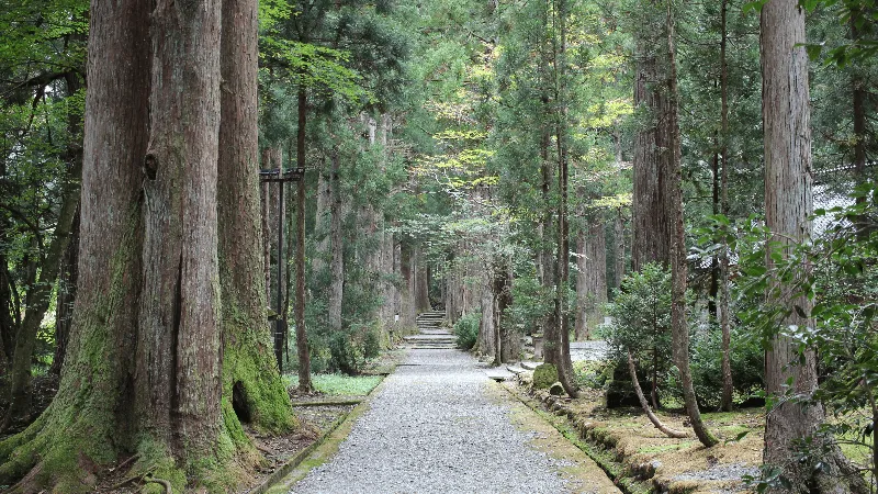 雄山神社芦峅中宮祈願殿の参道