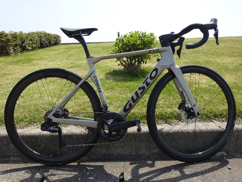 富山サイクルフェスティバル2025COBRA横から