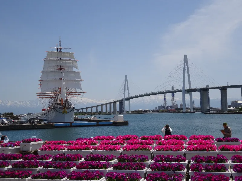 海王丸の総帆展帆ライド海王丸と新湊大橋と北アルプスの絶景