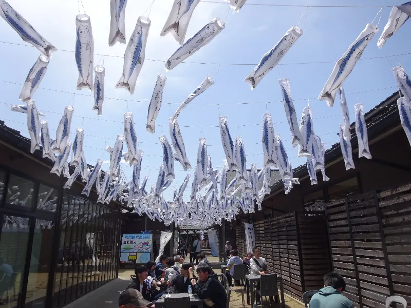 海王丸の総帆展帆ライド氷見イワシのぼり