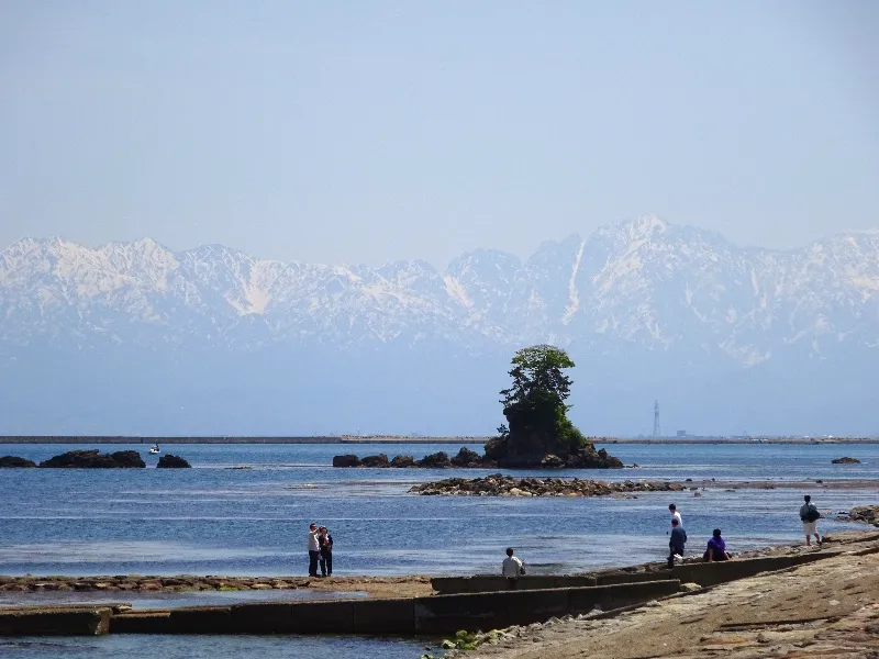 海王丸の総帆展帆ライド女岩北アルプス絶景