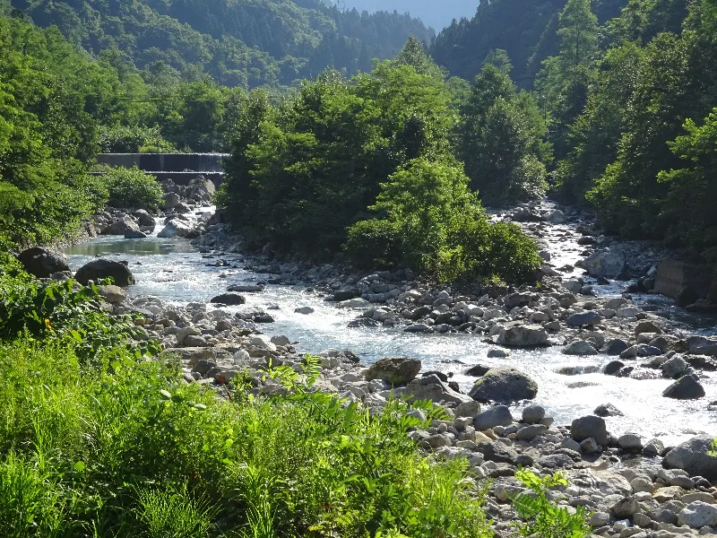称名滝ヒルクライム川の流れと朝日がきれい