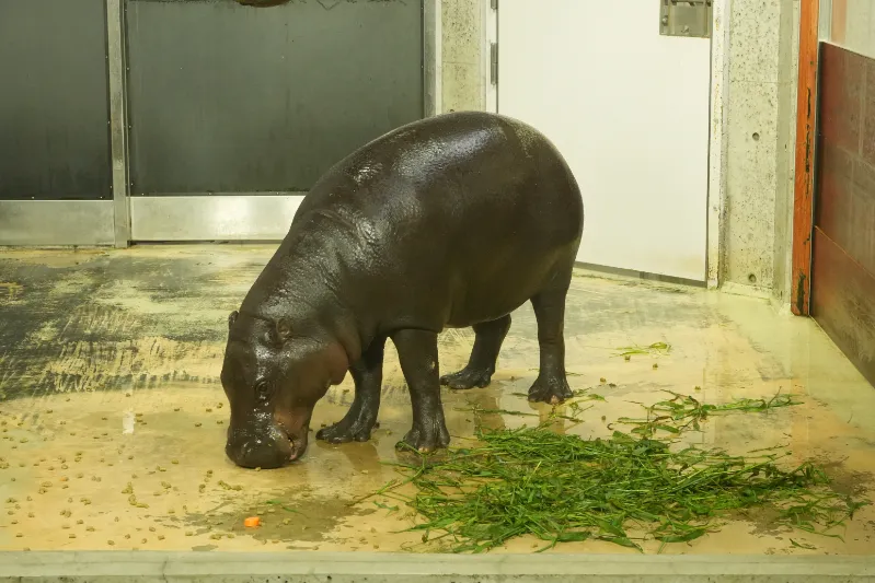 豪快に食事をする姿に思わず笑顔