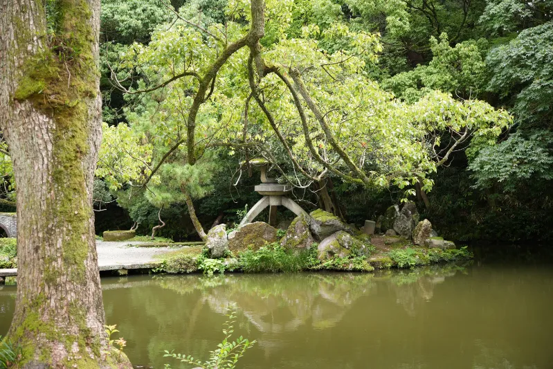 境内にある美しい池。四季折々の景色が楽しめそうです