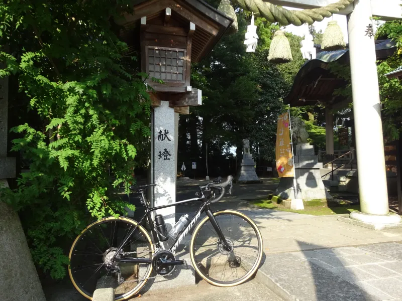 秋の光を浴びて、杉原神社の鳥居とともに。
